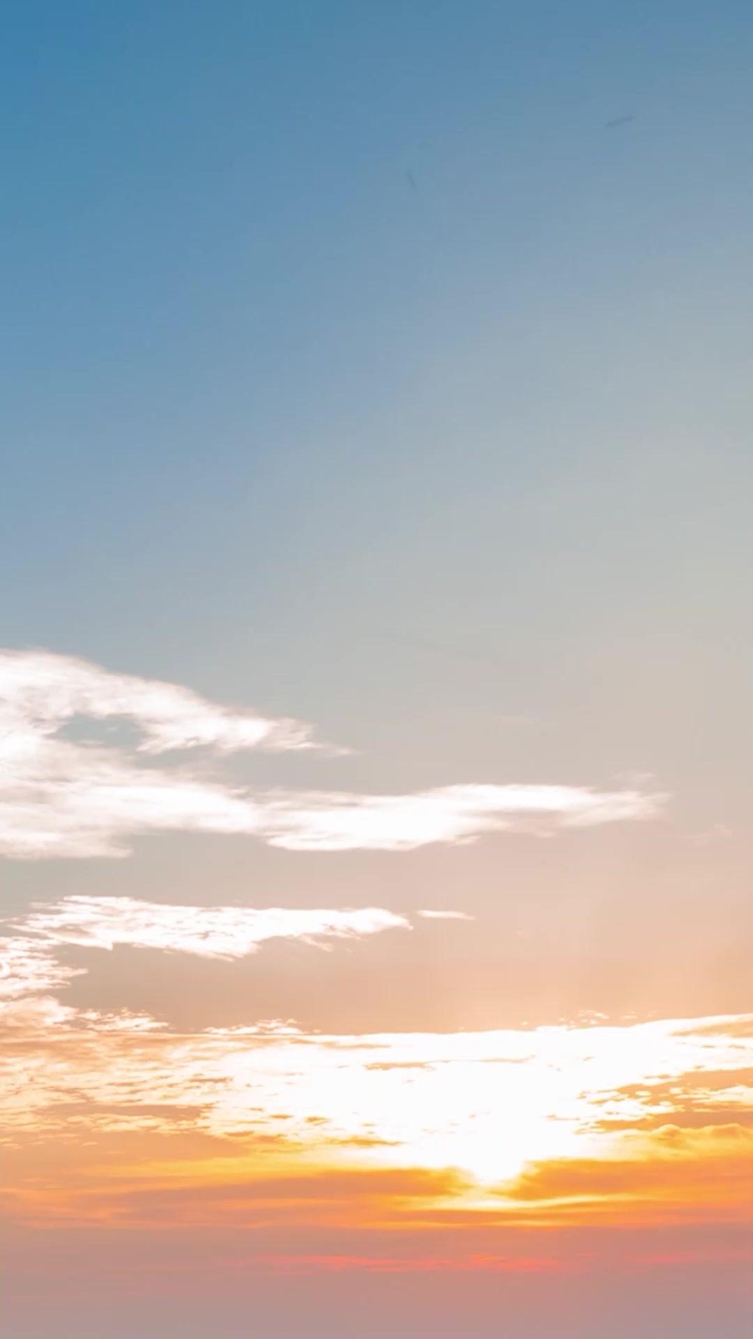 Melawan Takdir Novel