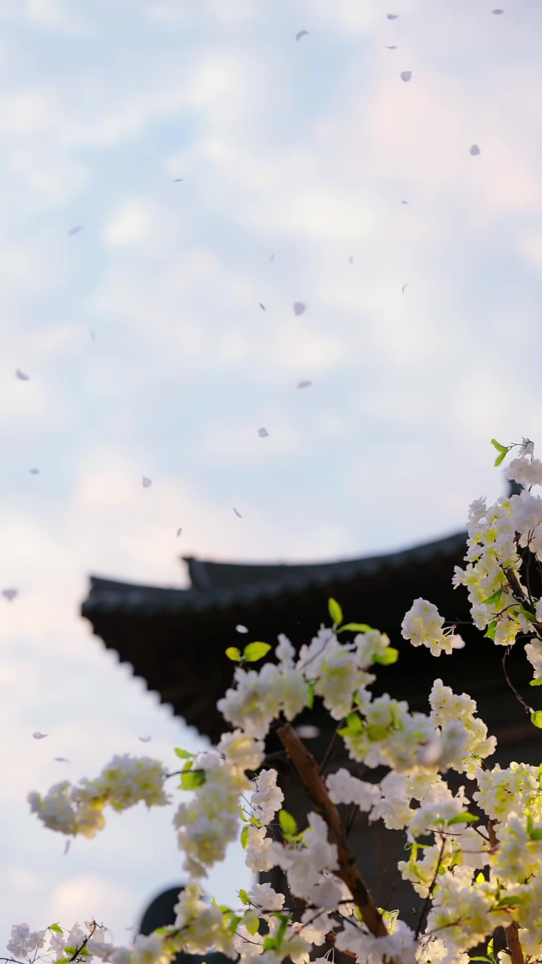 假貴女進階手冊