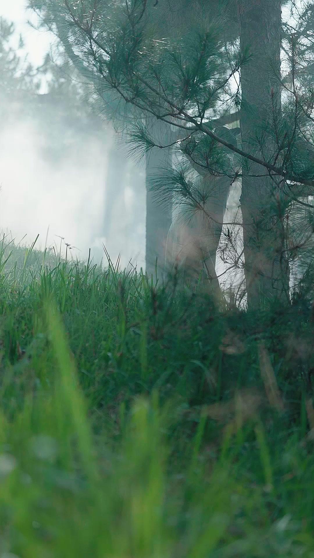 Kaisar yang Menyesal di Era Modern