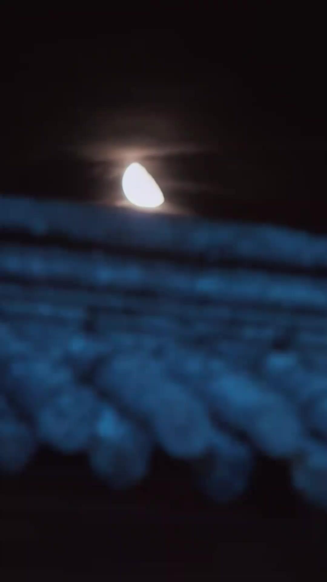 وصيّة غيّرت العرش