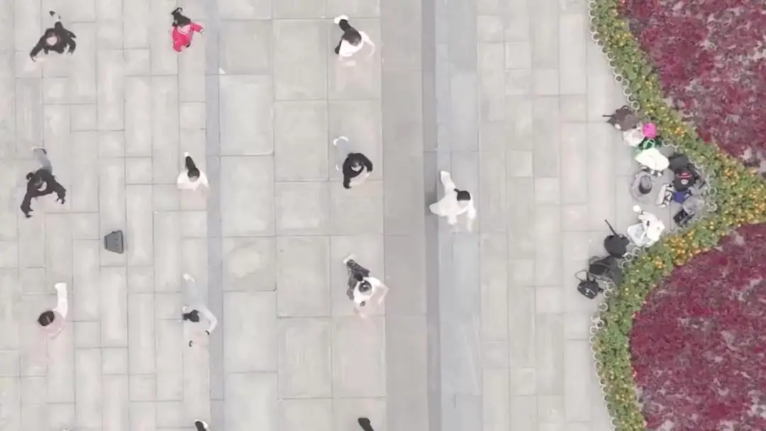 Twilight Dancing Queen: When Grace Becomes a Battlefield