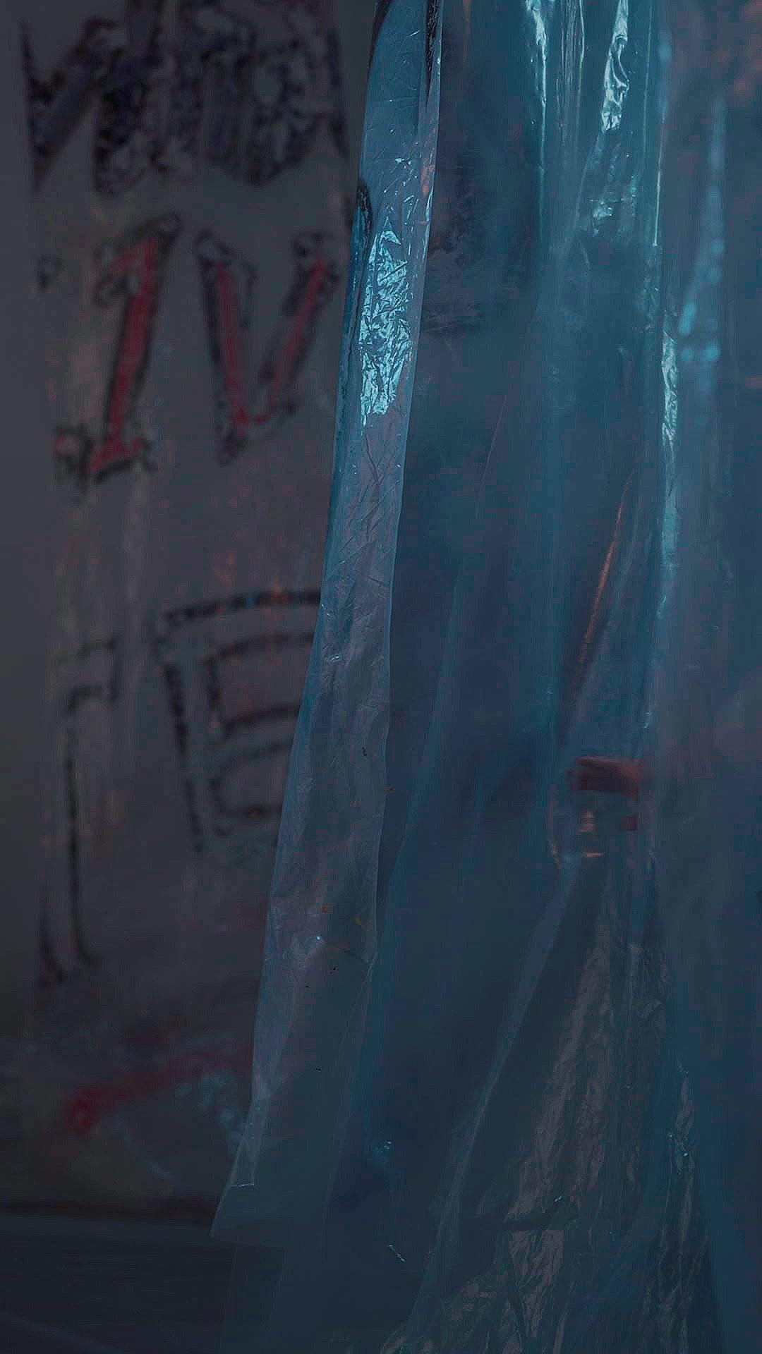 The Veiled Vindicator