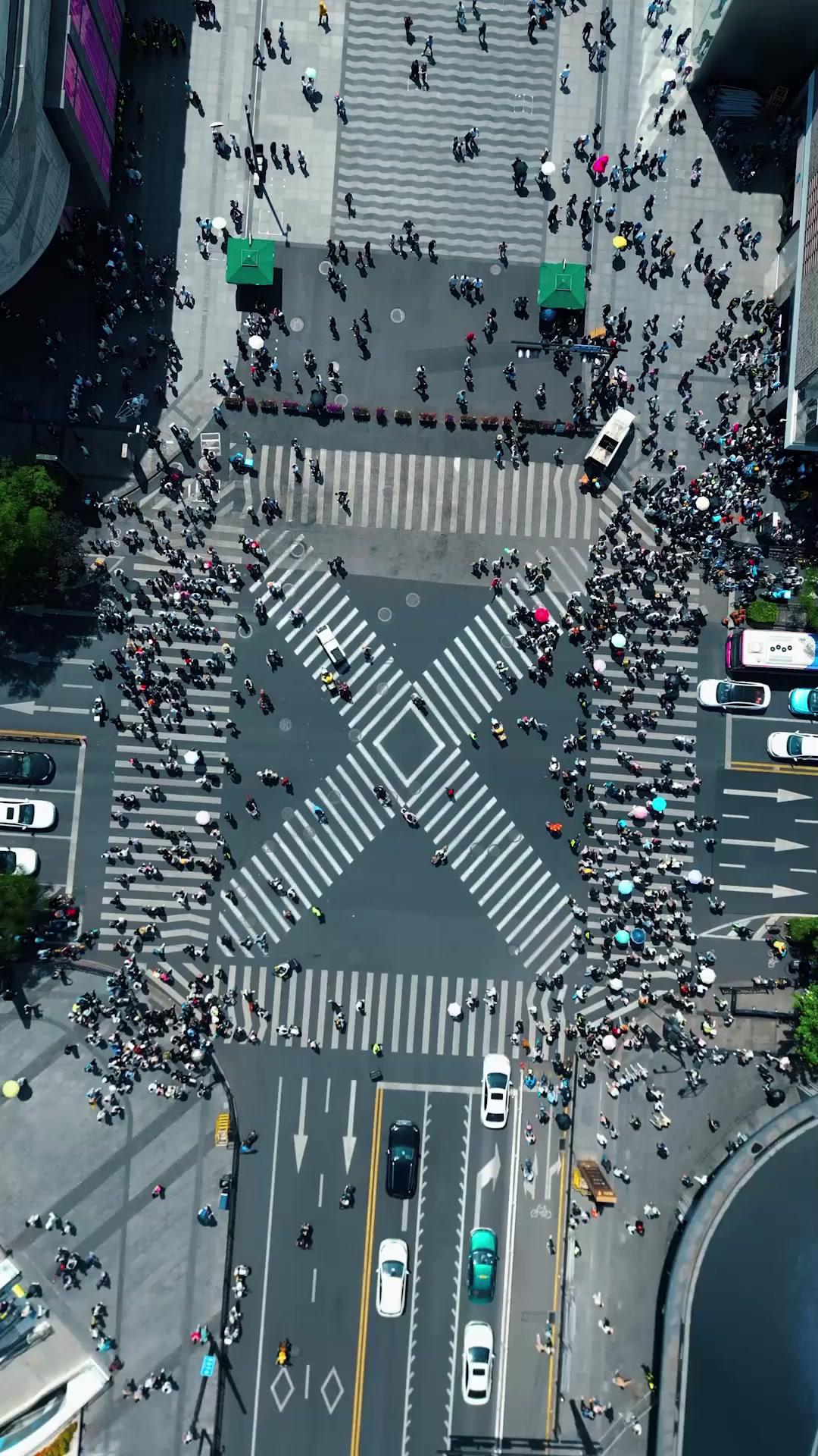 Trash the Ring, Claim the Crown