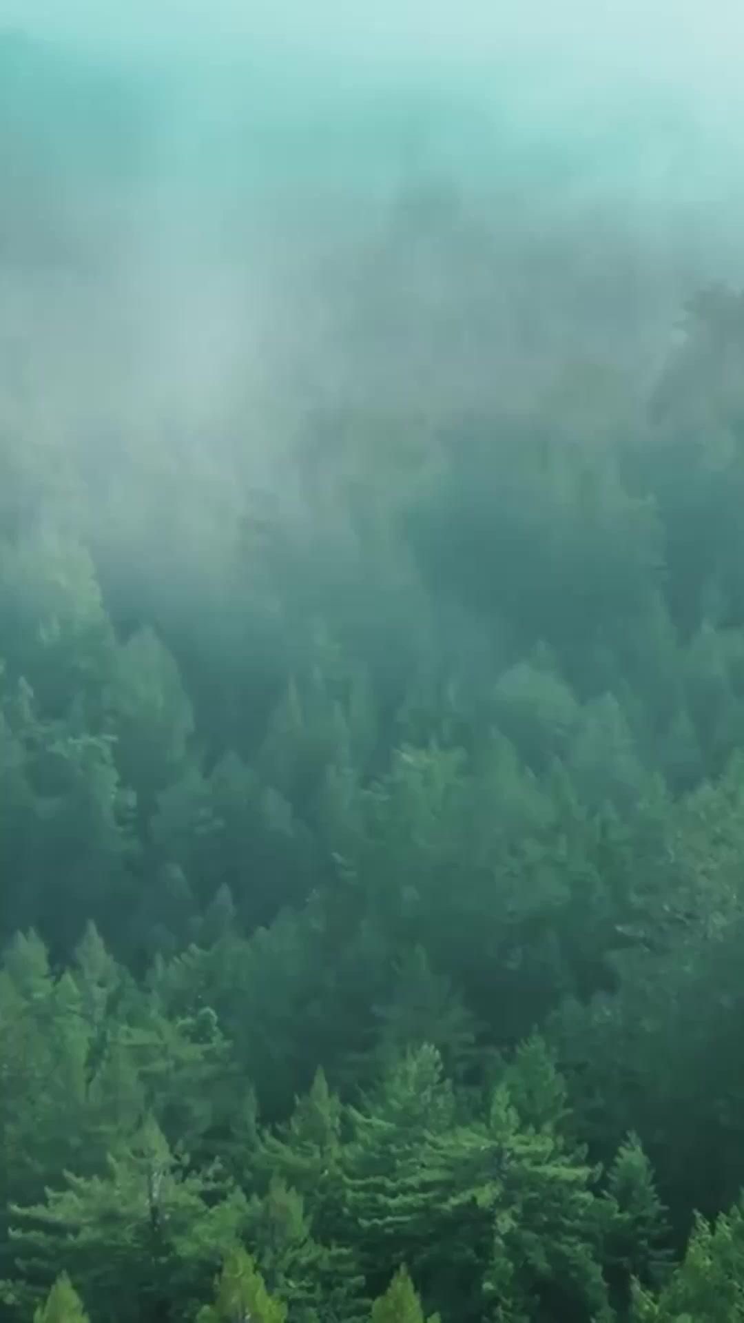 山河血流～乱世に君と征く～