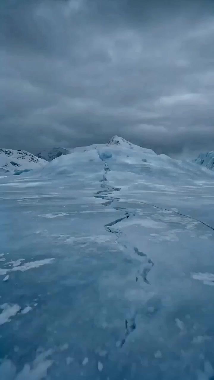 Set Me Up? Get Eaten Instead!