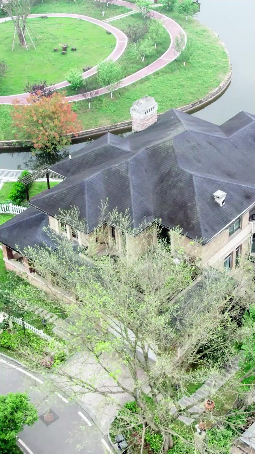 Dumped Wife, Boss Lady Returns