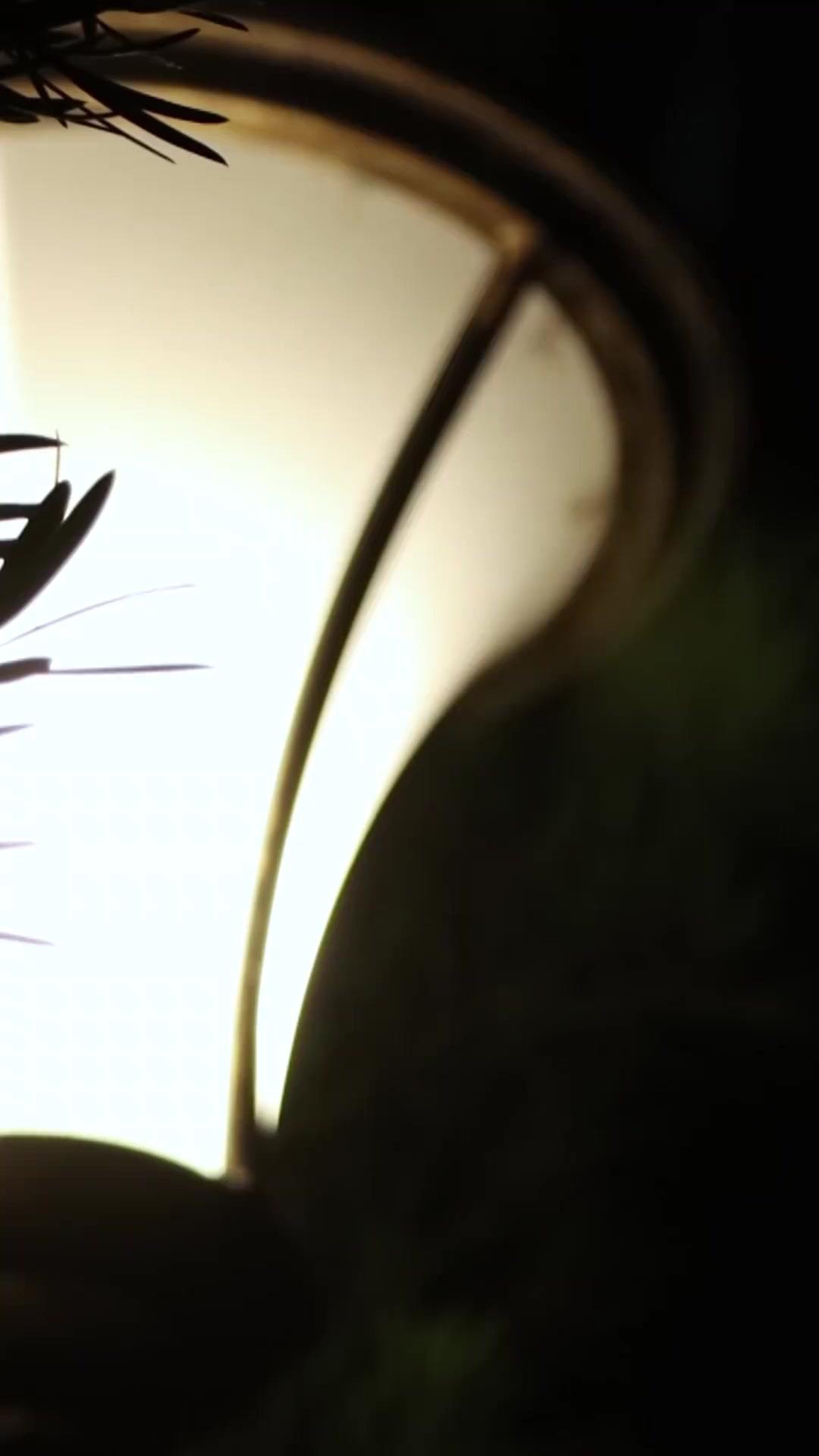 (Doblado) Entre besos y mentiras