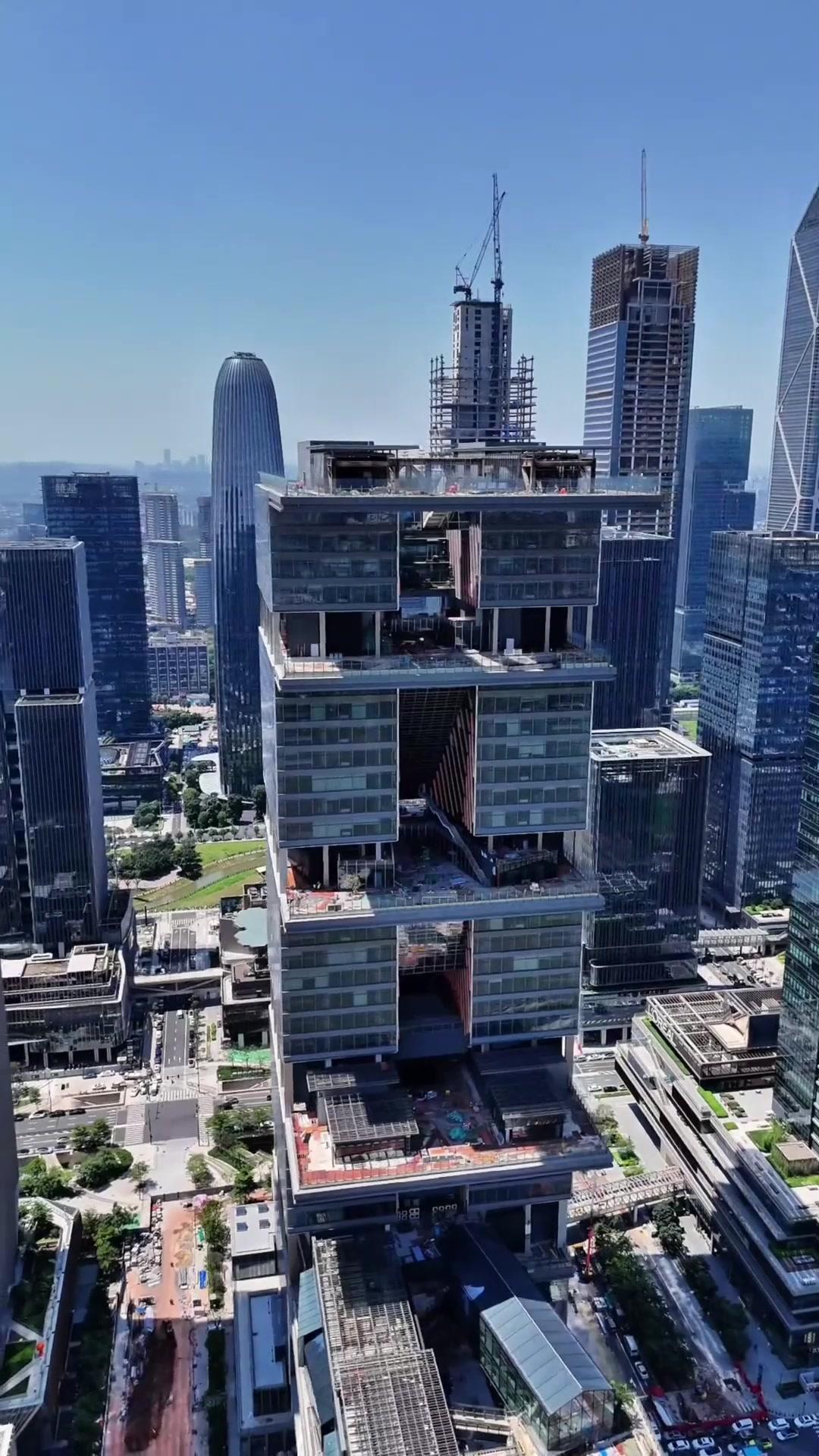 A Rosa e o Gelo dele