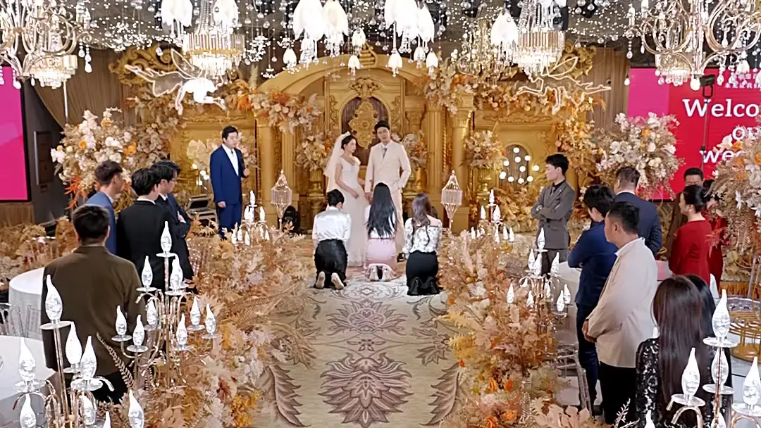 Pink Tears & Golden Lies