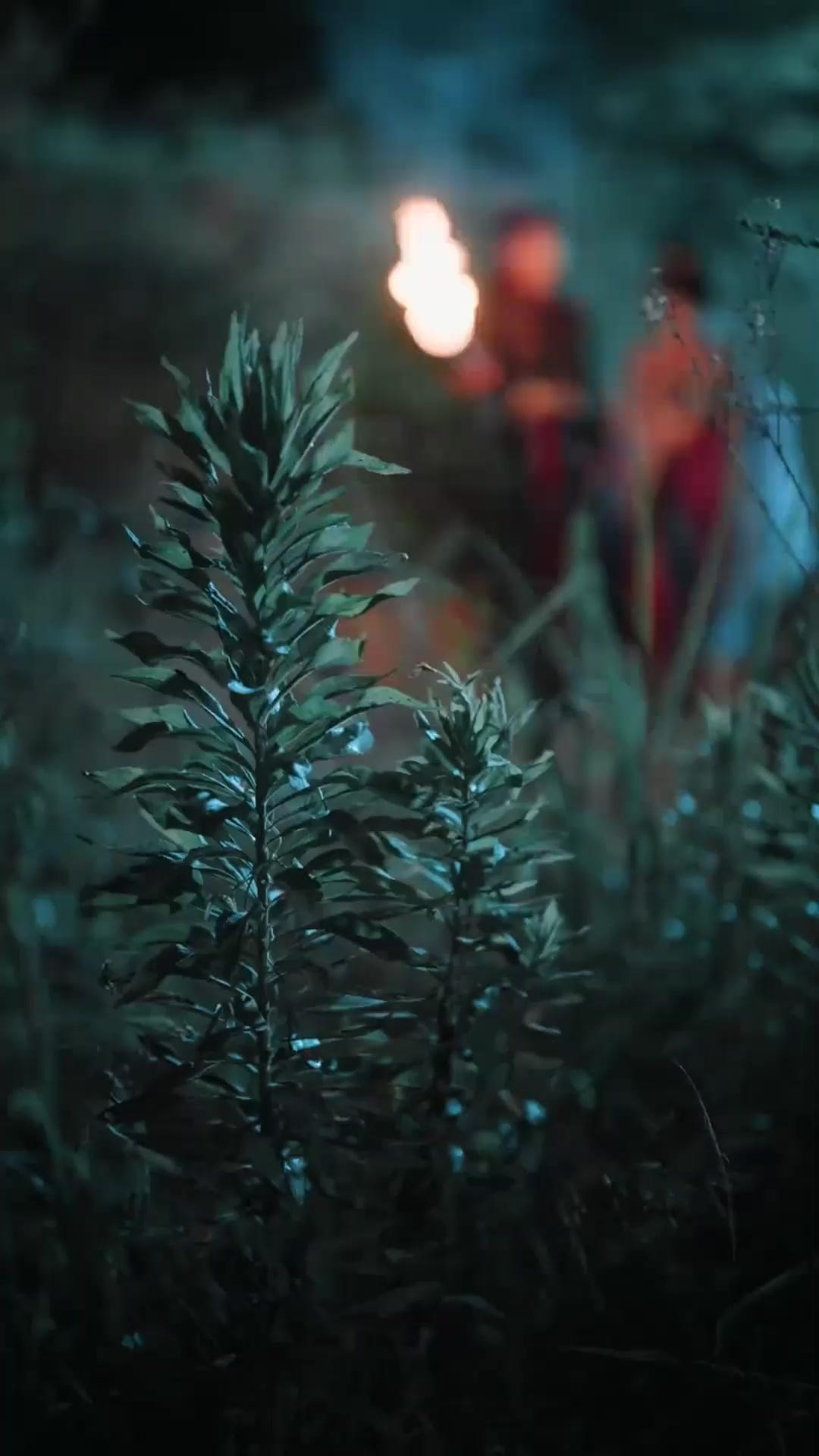 (Doblado)La princesa del intercambio