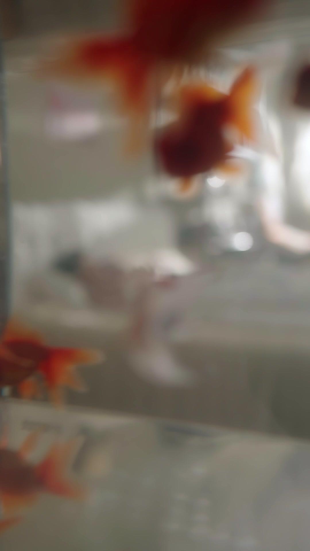 Married a Tycoon from Prison?