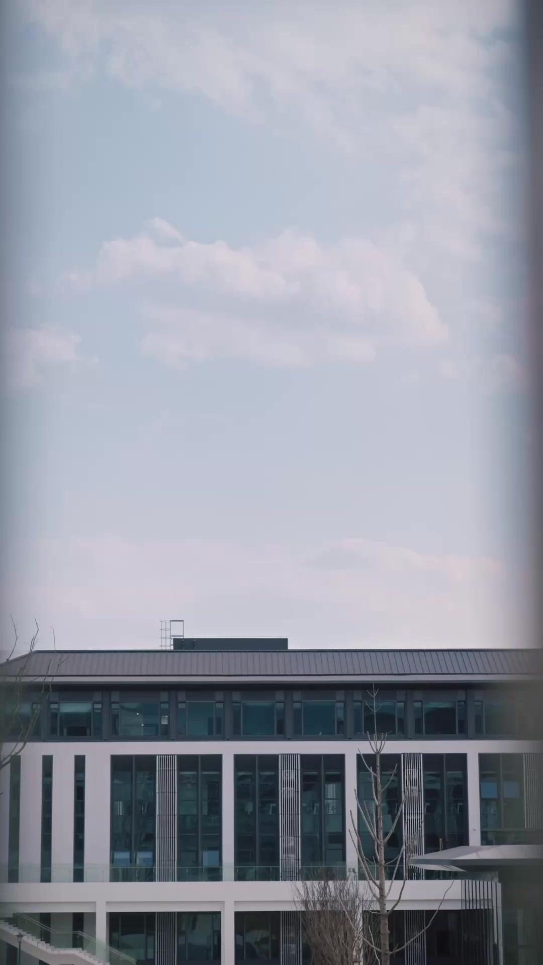 나의 벙어리 신부