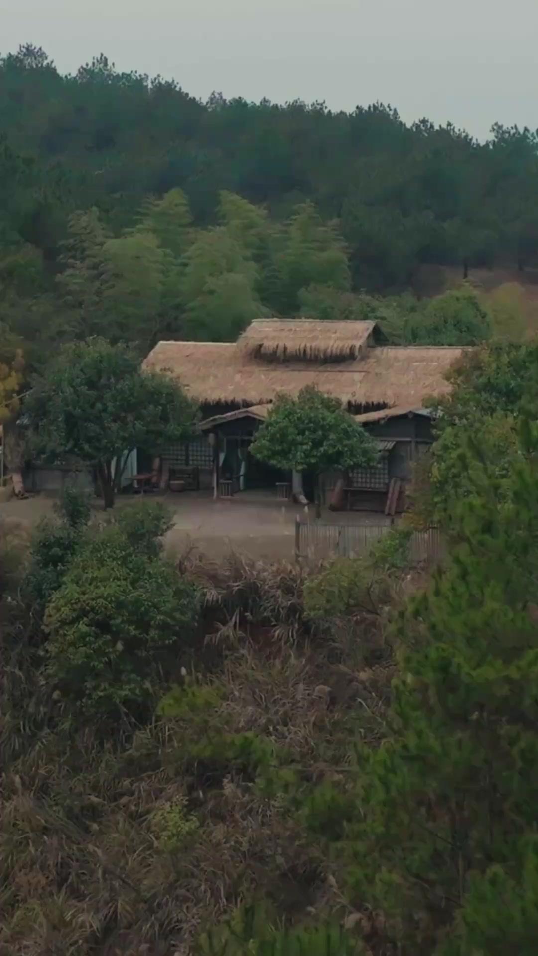 من القيد إلى العرش