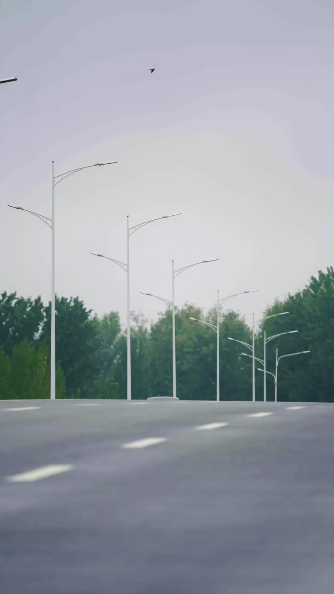 戰先生的閃婚嬌妻