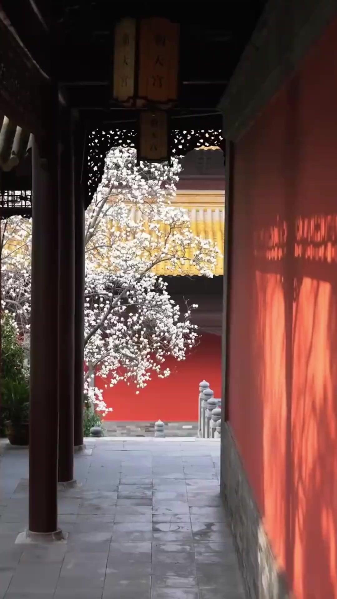 Reborn and Teaming Up With My Nemesis!