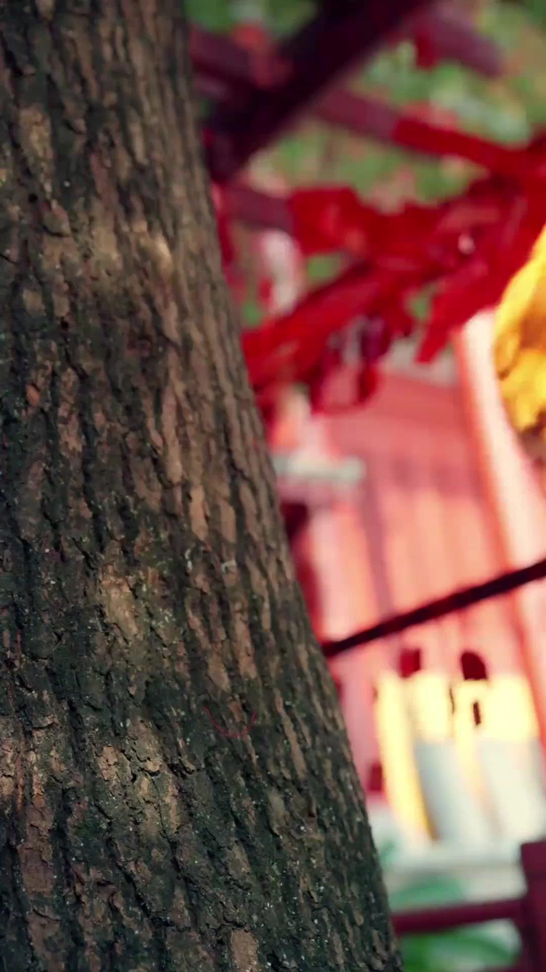 (Dubbed)His Trash, The Throne's Treasure