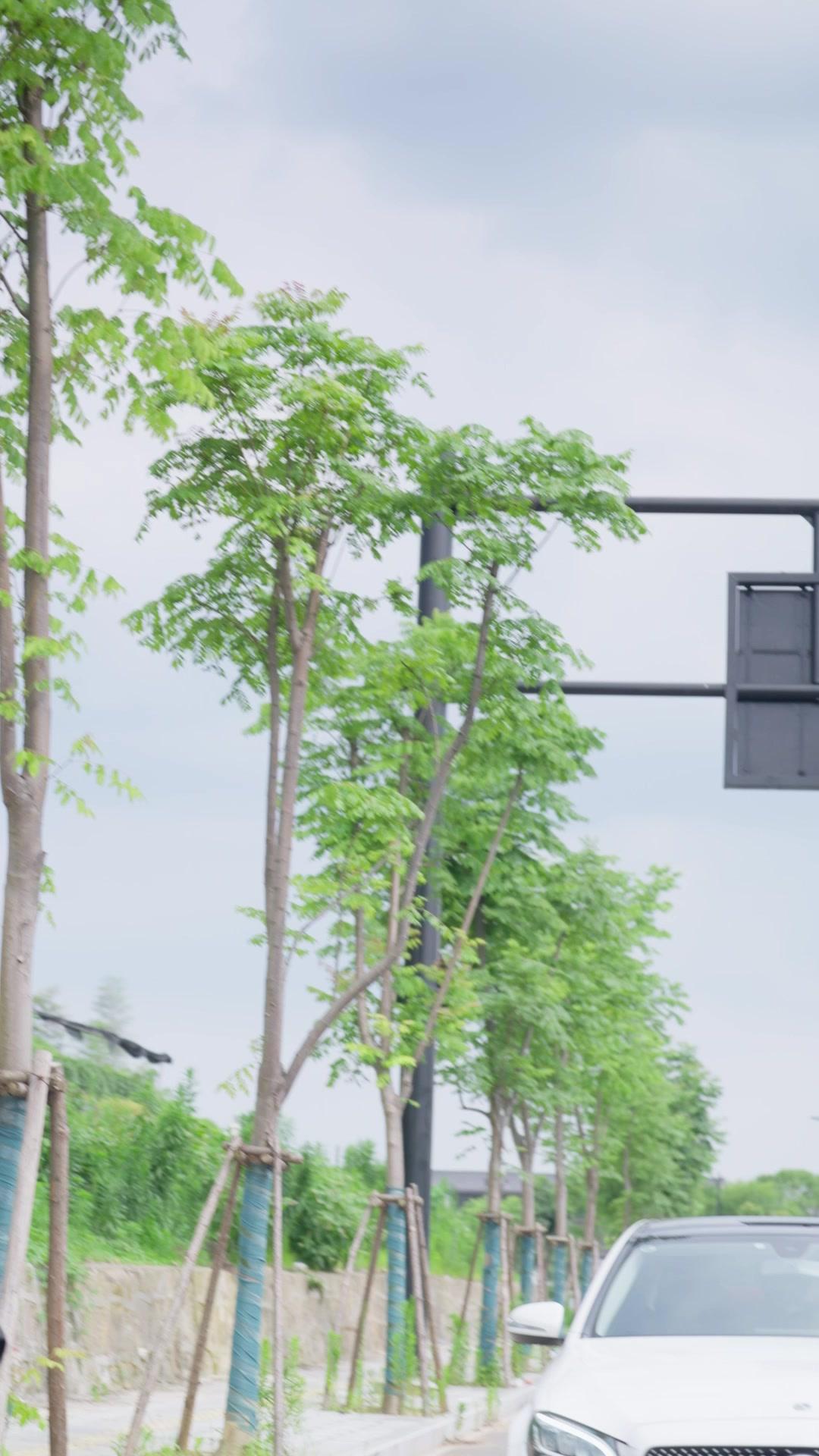 Melawan Takdir Novel