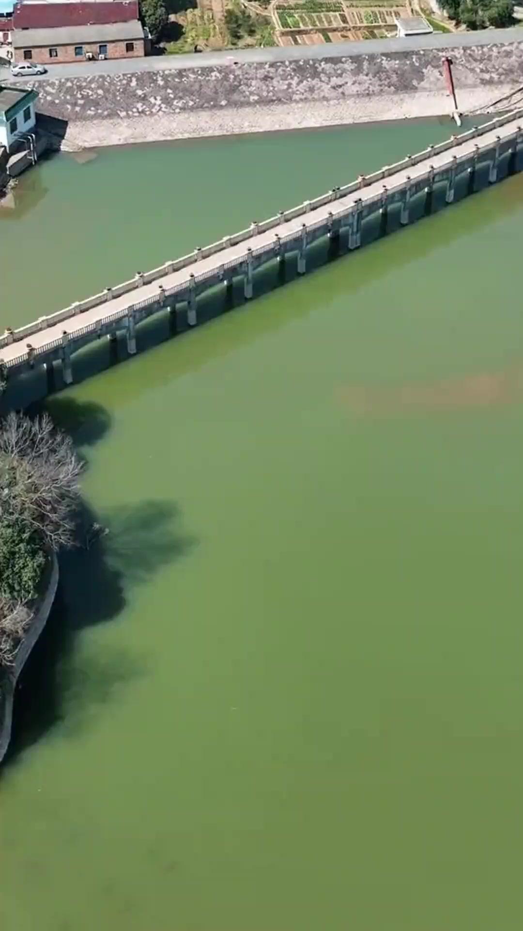 Cintaku Prajurit Elit