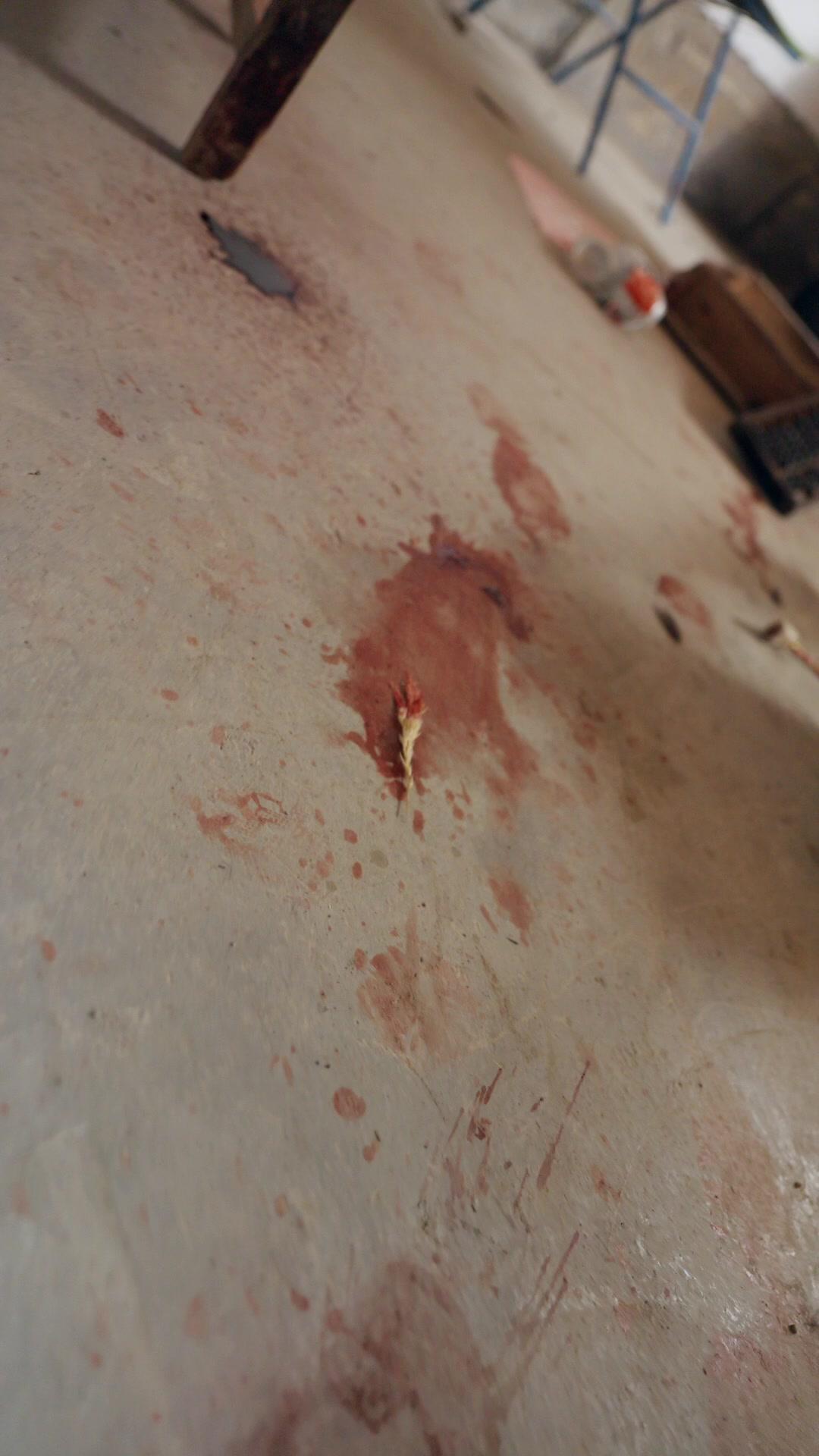 哀牢山驚魂人面熊