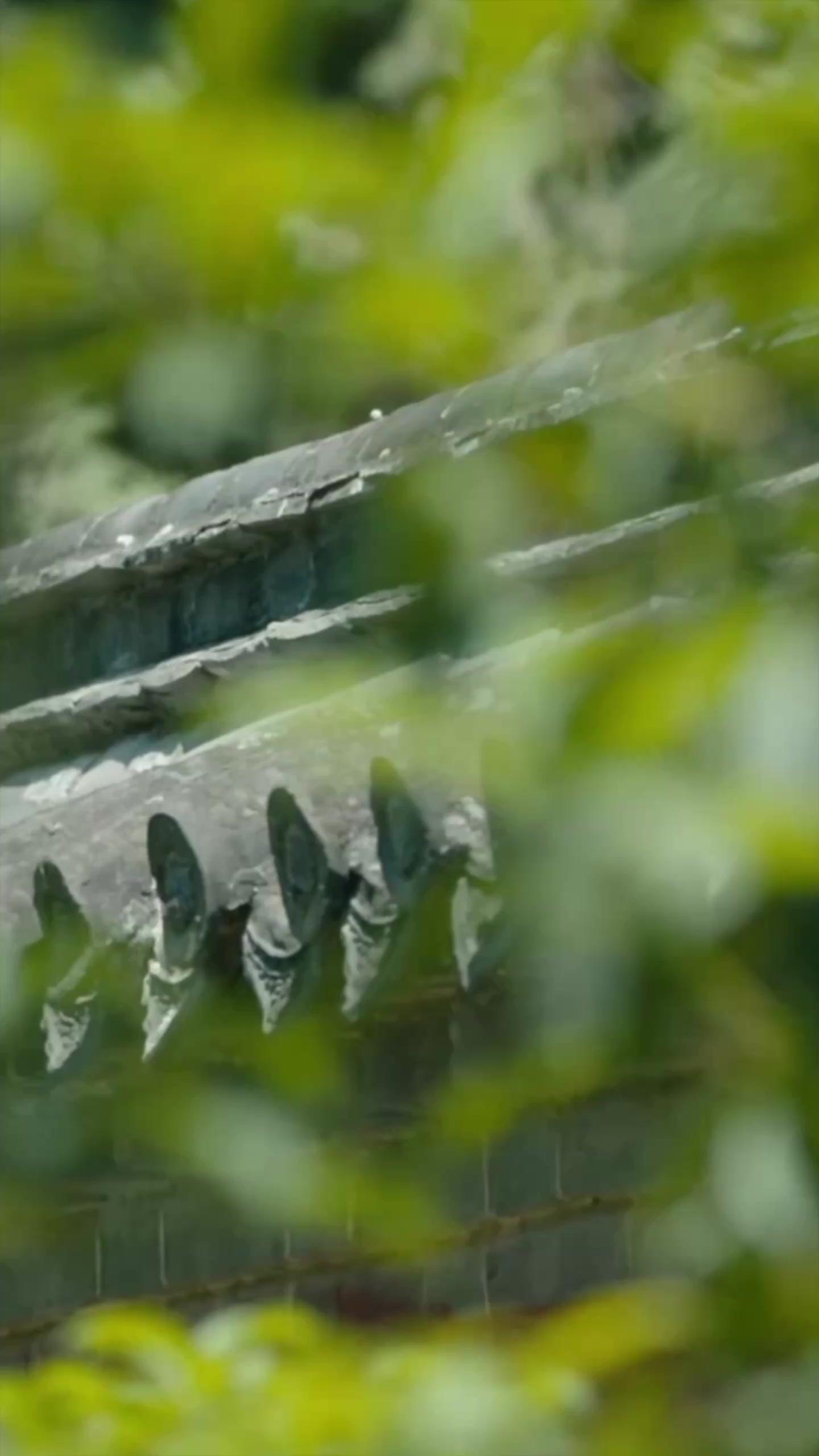 Ayah Pemimpin Bandit Ternyata Raja