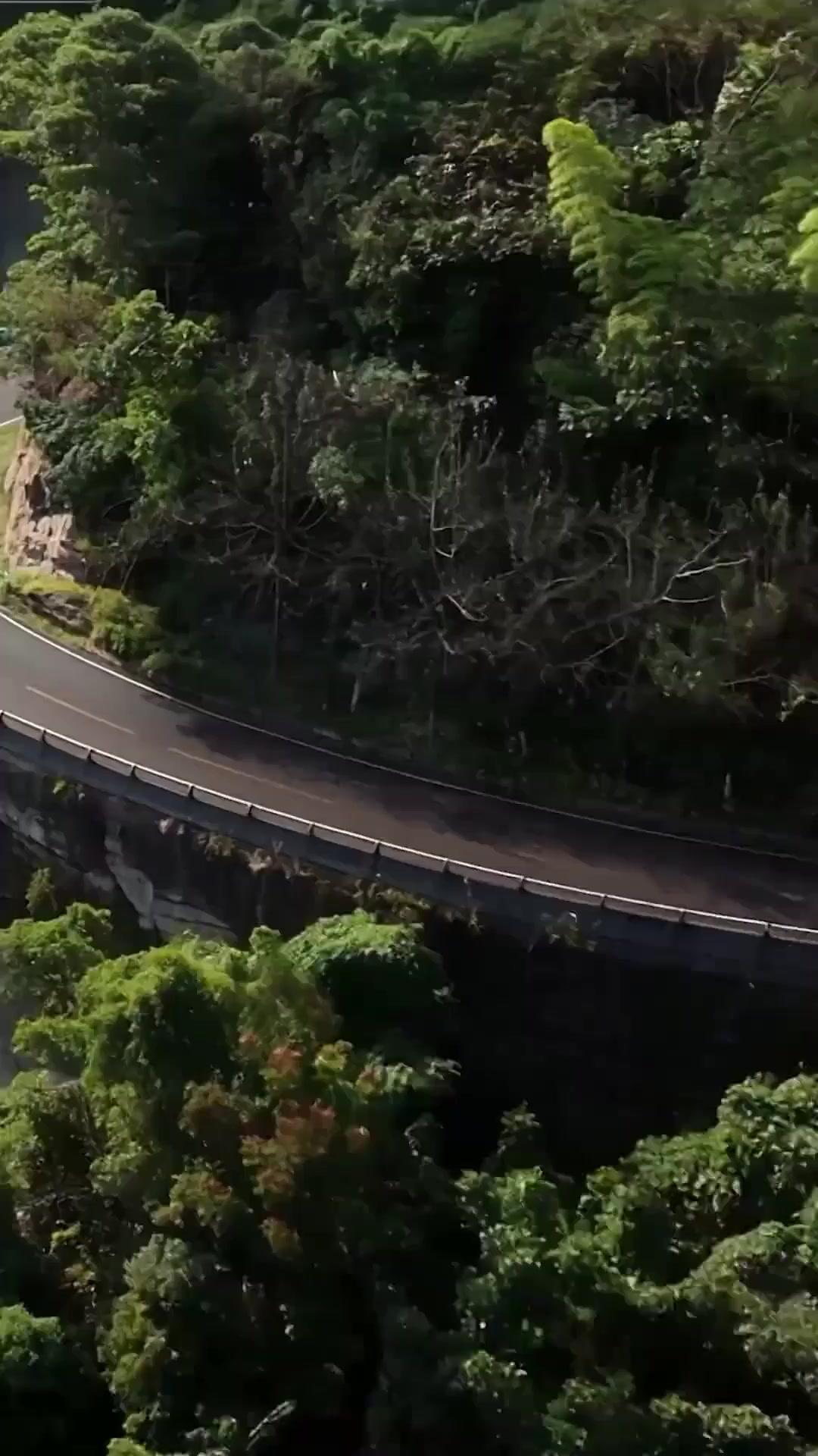 (Doublage) Le Livreur-Roi