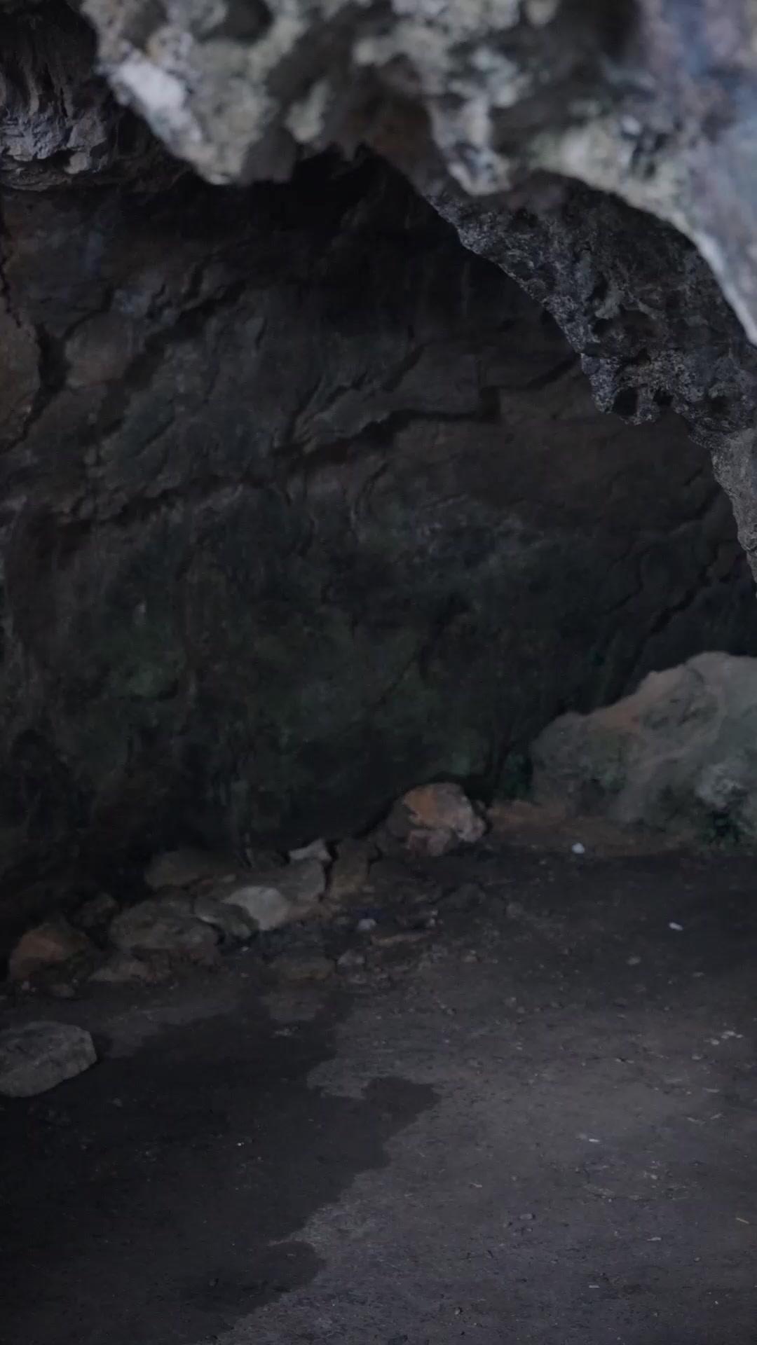 Lari!  Jerung raksasa datang!