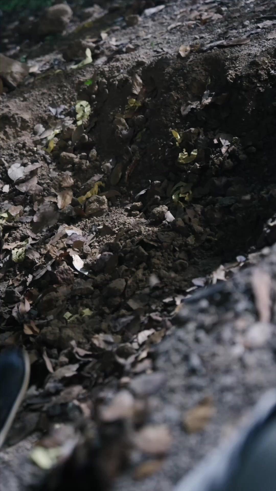 錯付深情終成仇