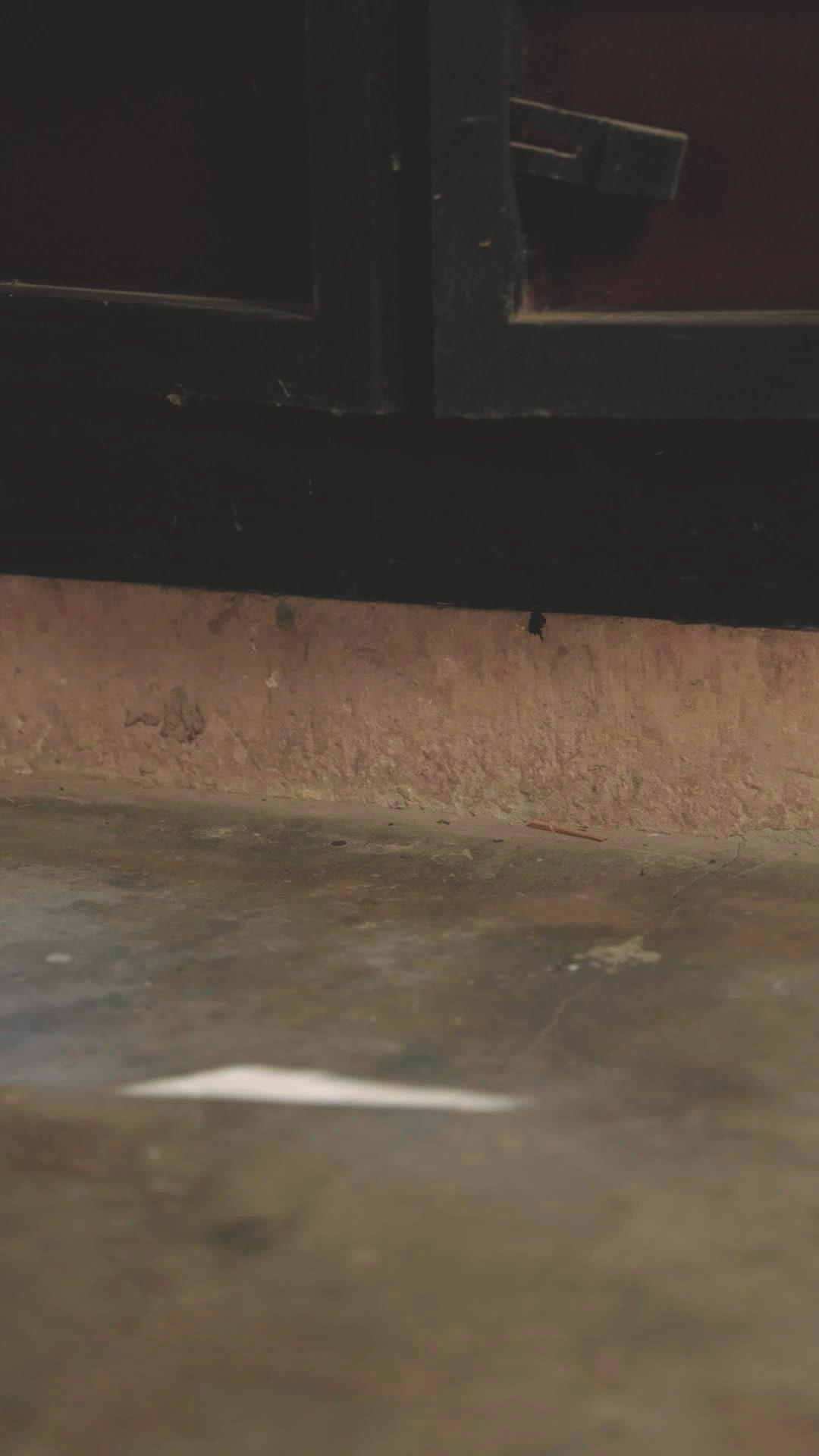 عودة سيدة السيف بعد مئتي عام