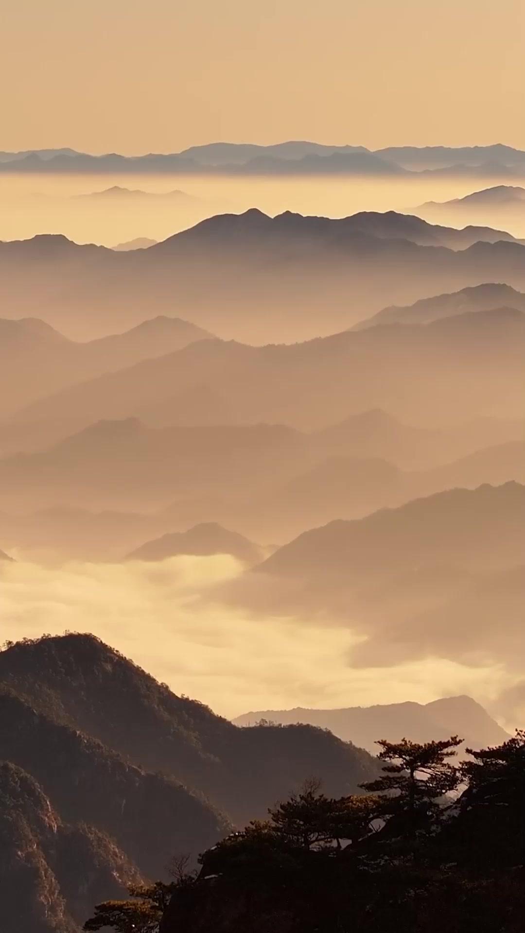 鐵拳無敵楊芊芊