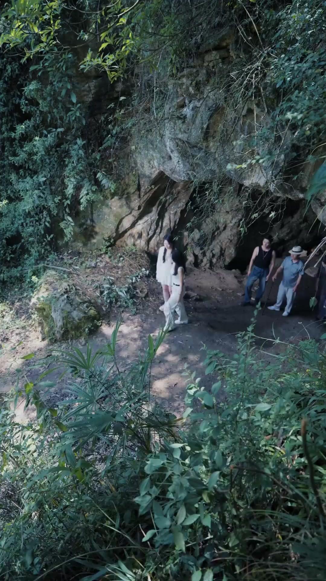 (Dublajlı) Köpekbalığı Adası