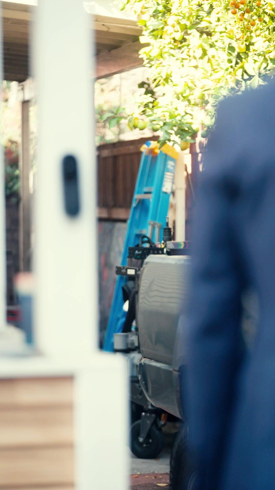 Comeback of the Basketball King