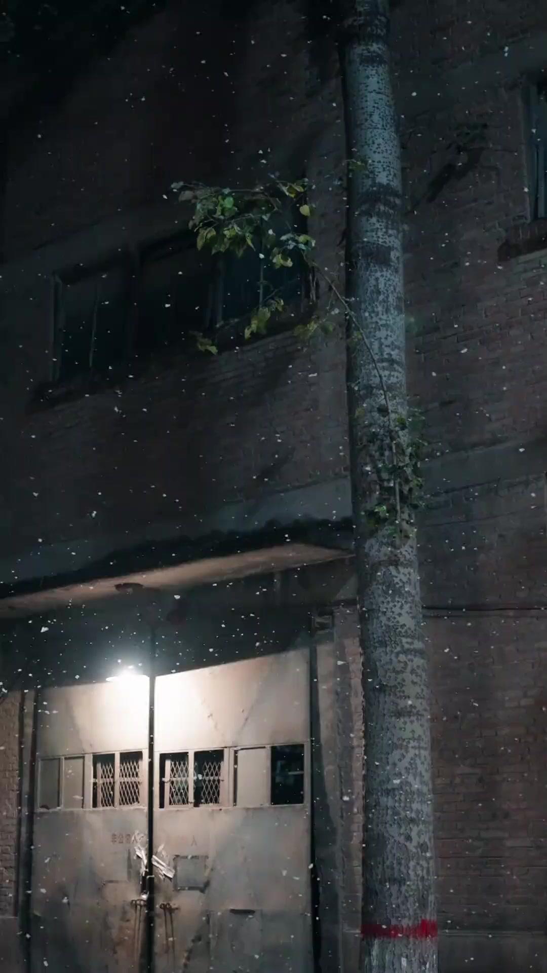 금수저 퀸카의 귀환