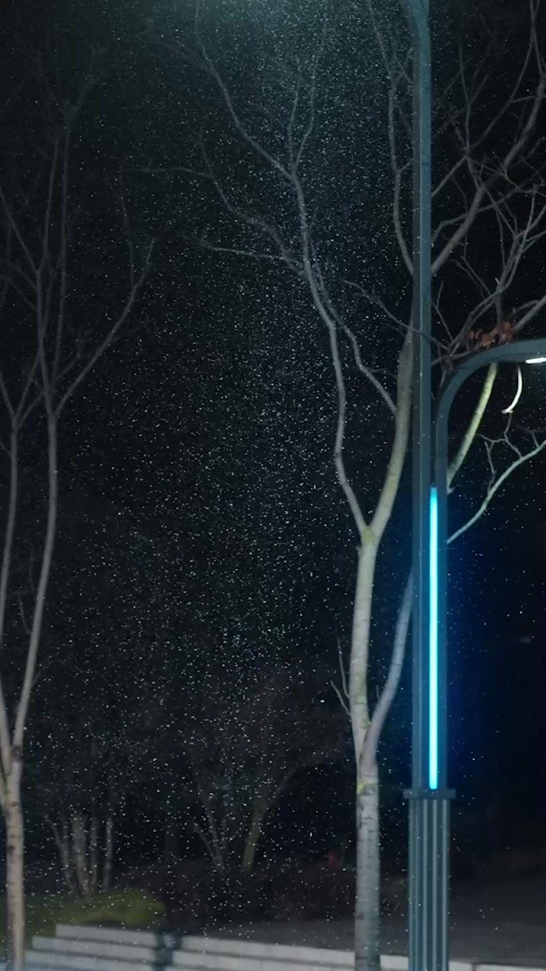 關上的門，與我出走的決定