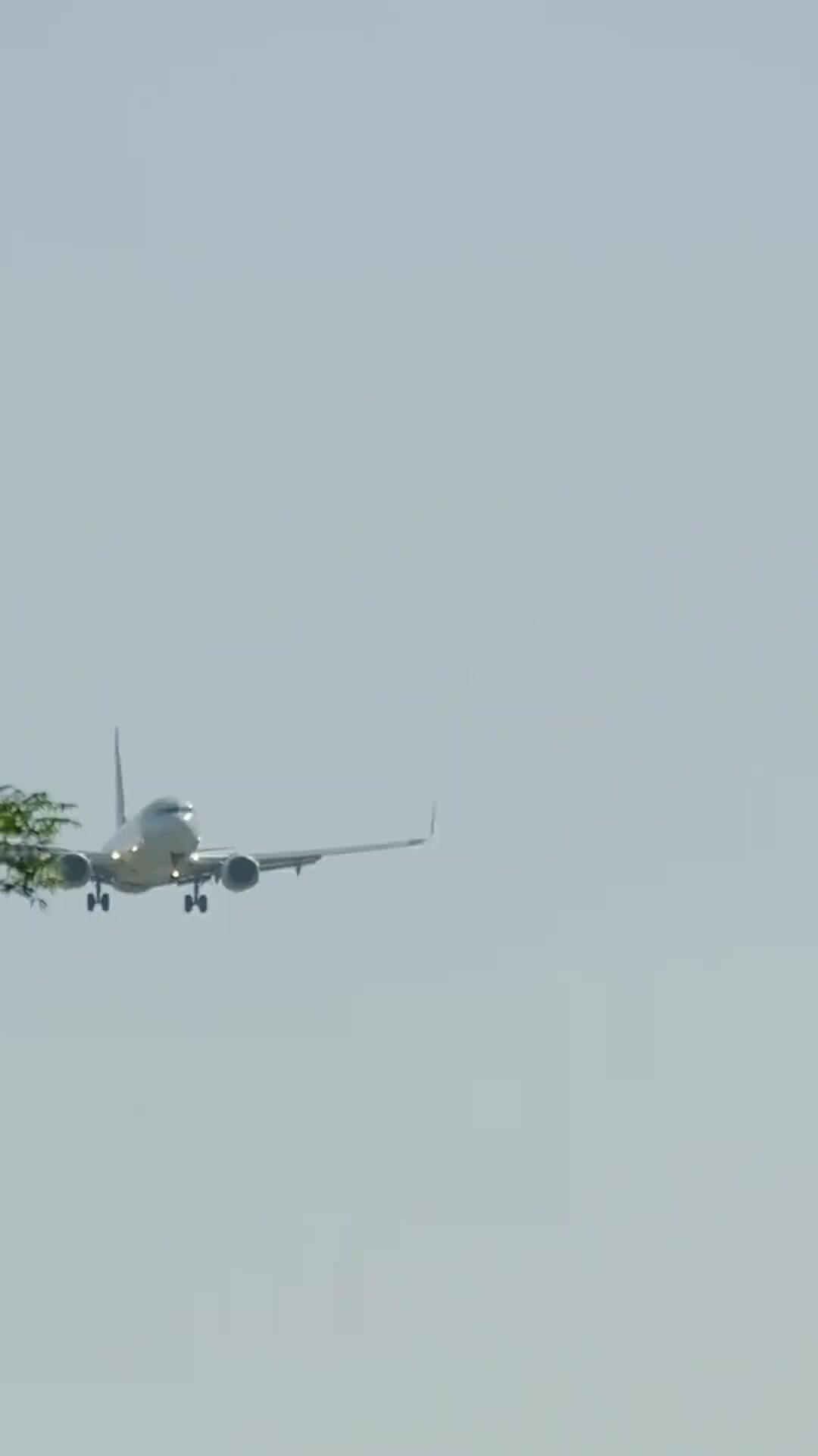 (Doblado)Me divorcié y ahora soy diosa