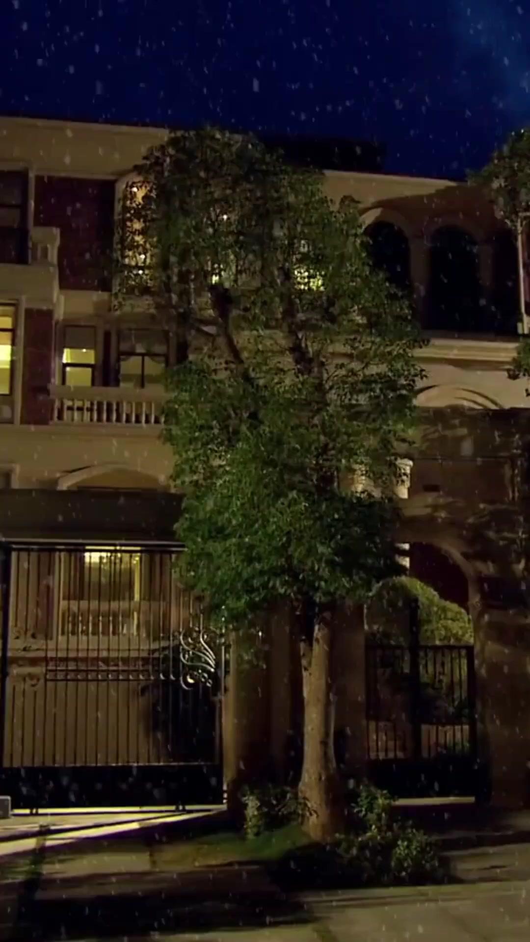 انتفاضة الآنسة