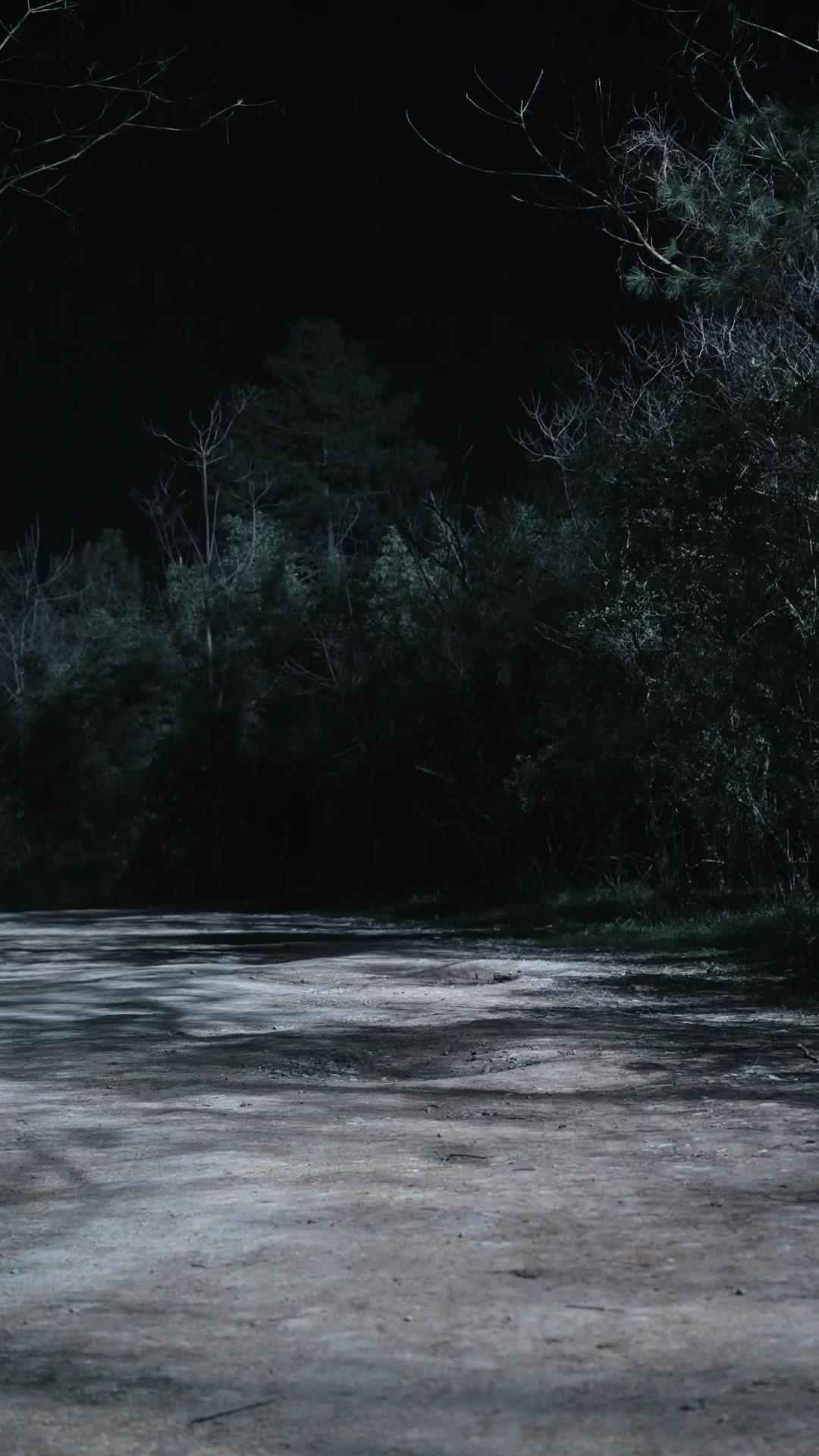 LE VAGABOND ET LA NOBLE FUGITIVE