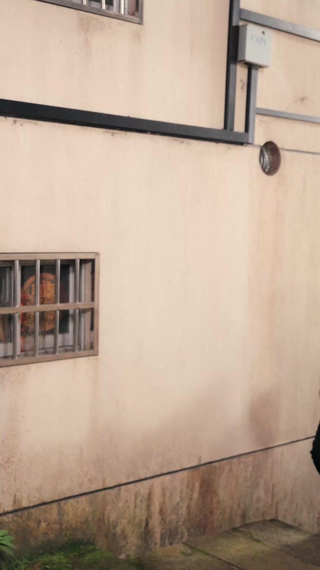 Tersamar Cinta Sang Miliarder