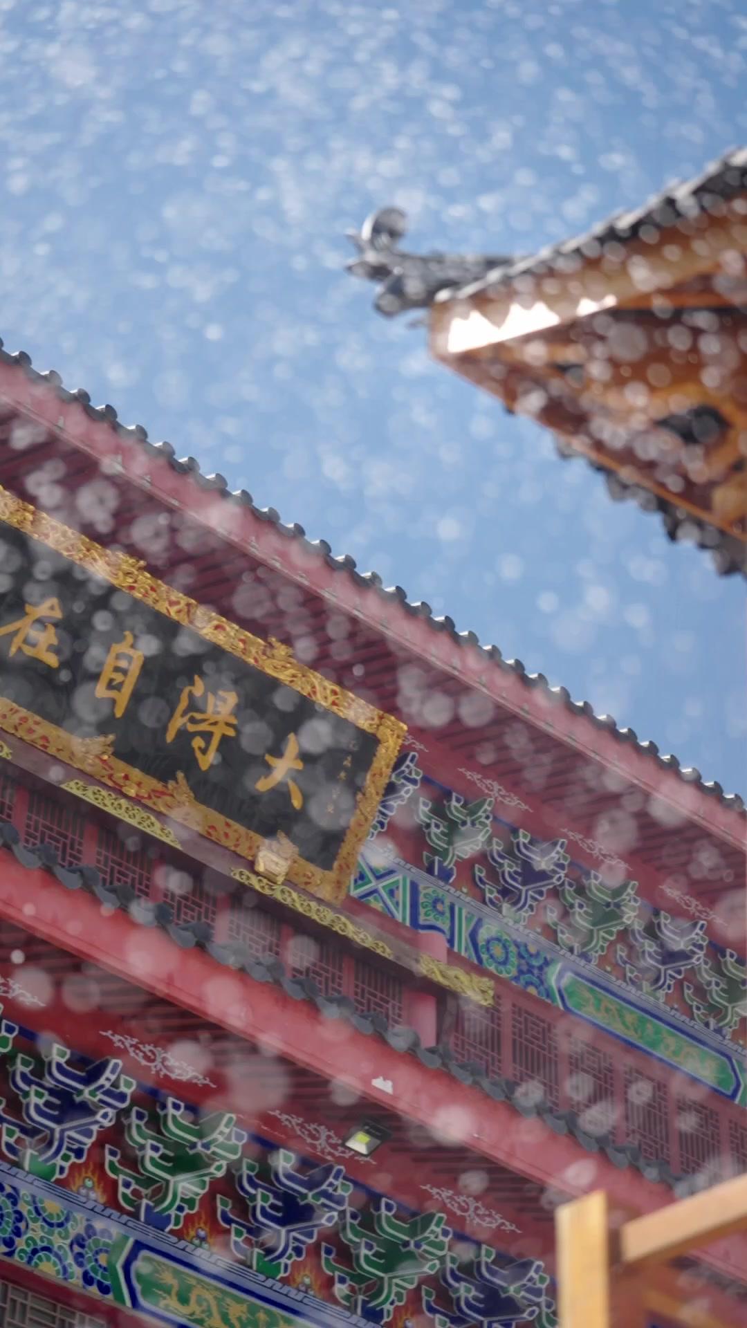 Sarayın Gerçek Hanımı