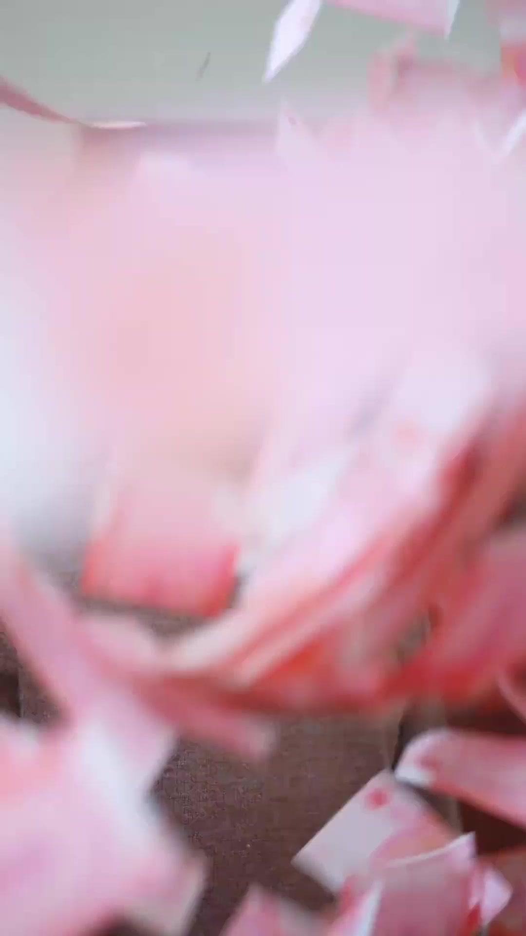 (Sulih suara) Sandiwara Orang Tua Jadi Miskin