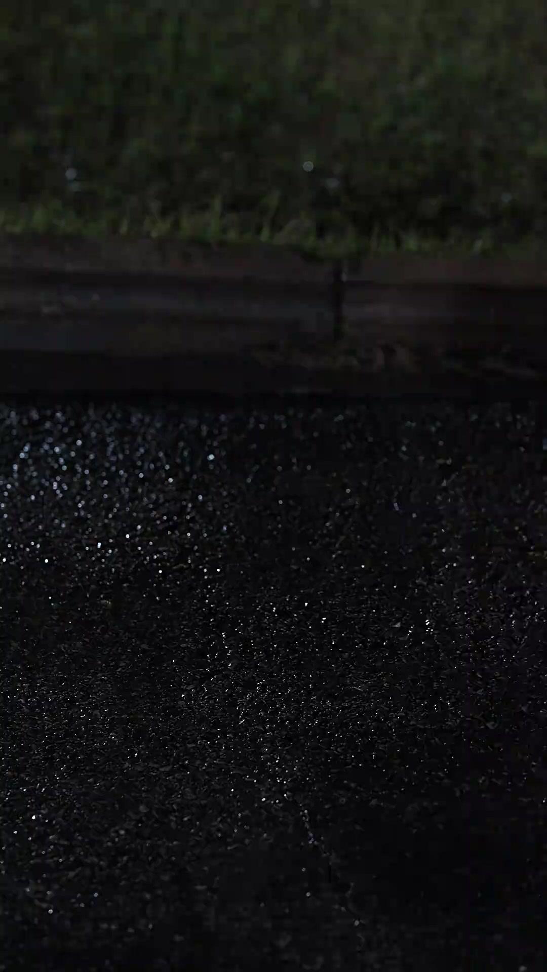 Rayakan Kembalinya Diriku