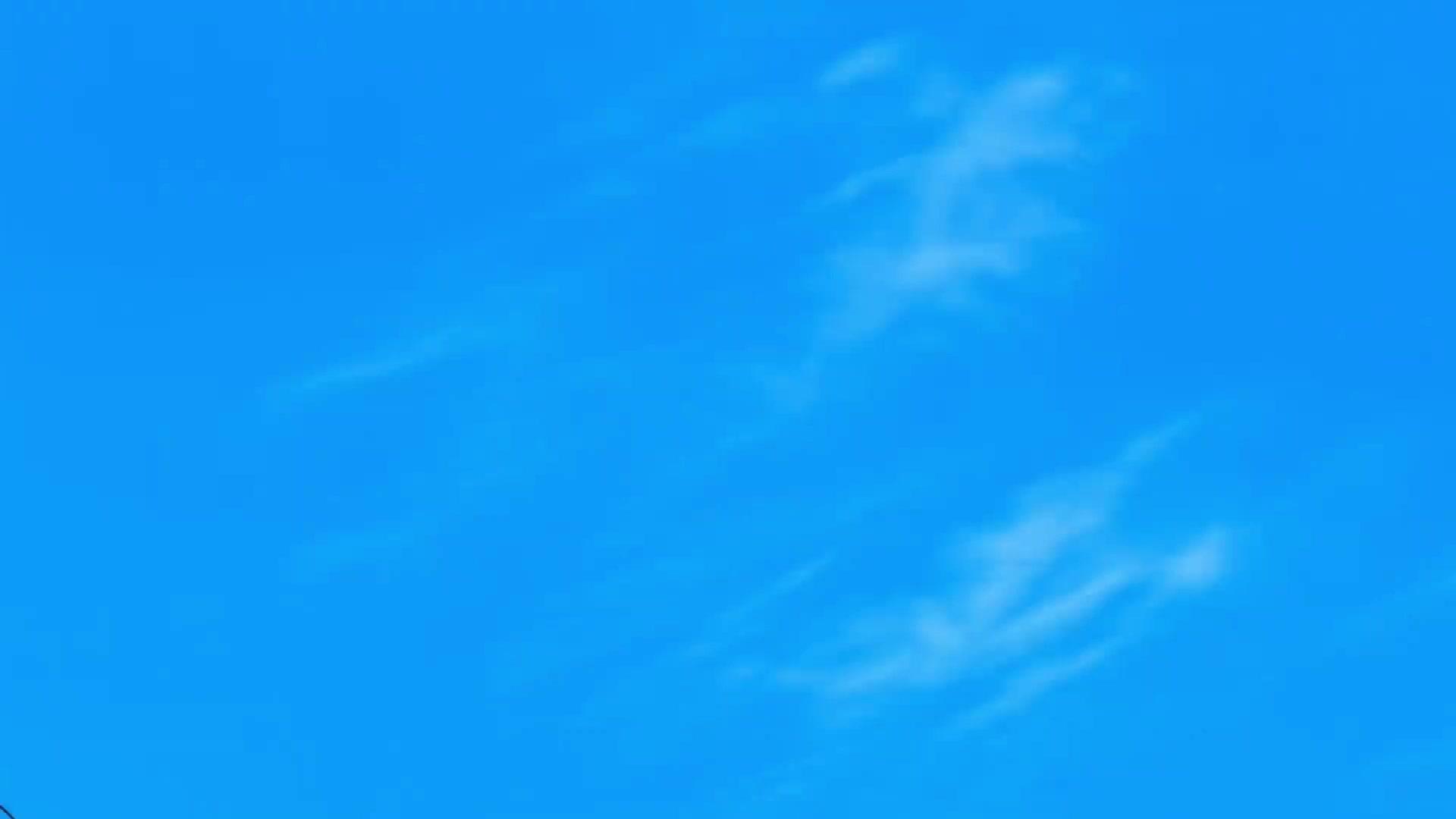 Câu Trúng Mỹ Nhân