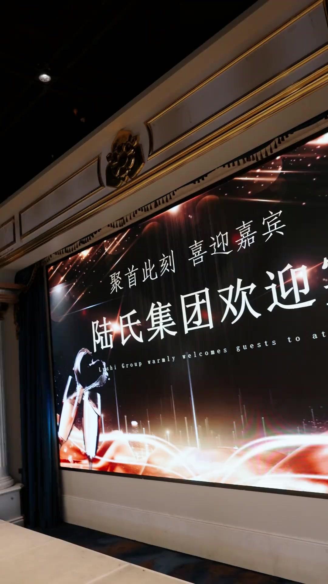 平凡な義父、最強の婿軍団