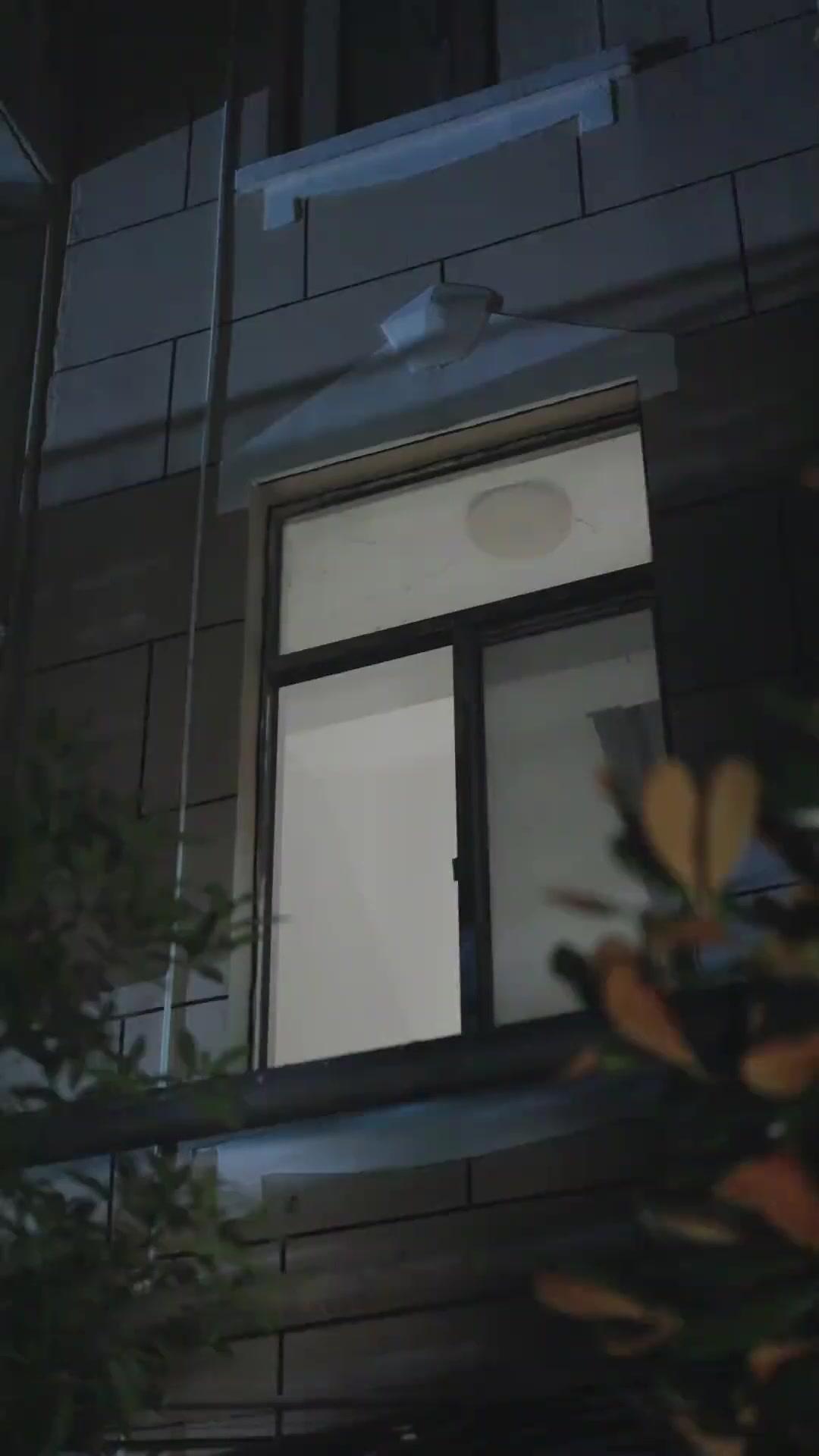 바람에 흩날리는 사랑