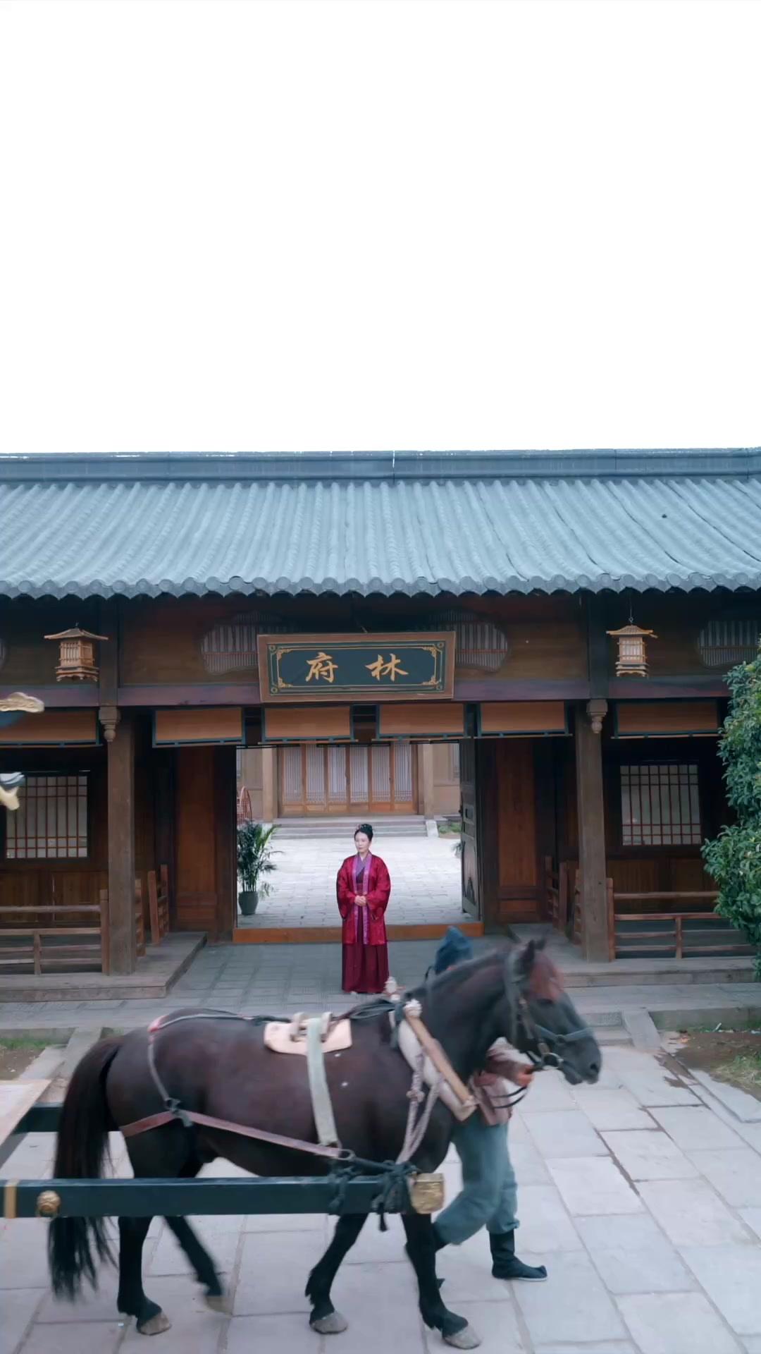 穿越女頻當廢物，我選擇不裝了