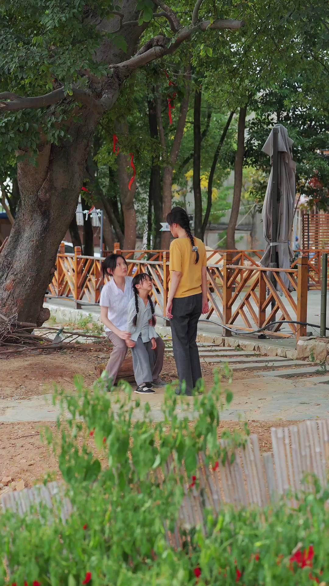 月光不照重逢路