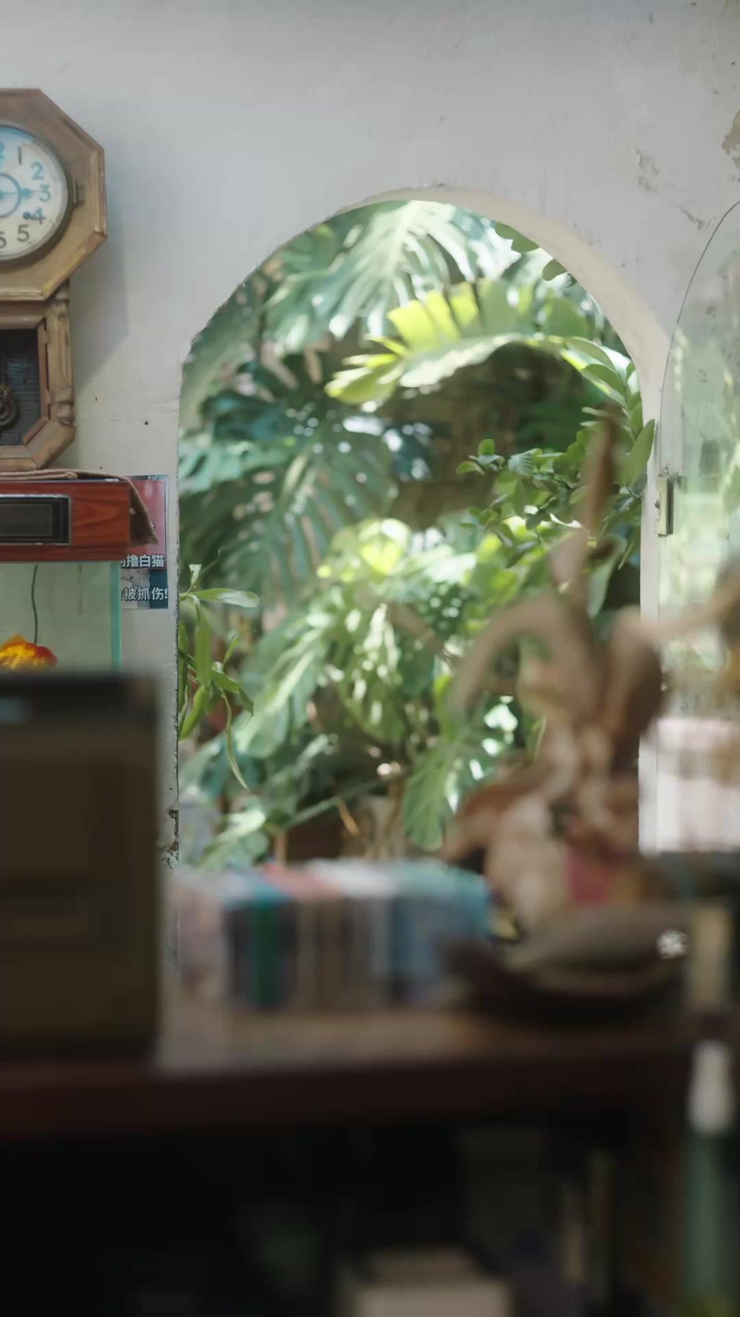 Amor a primera vista