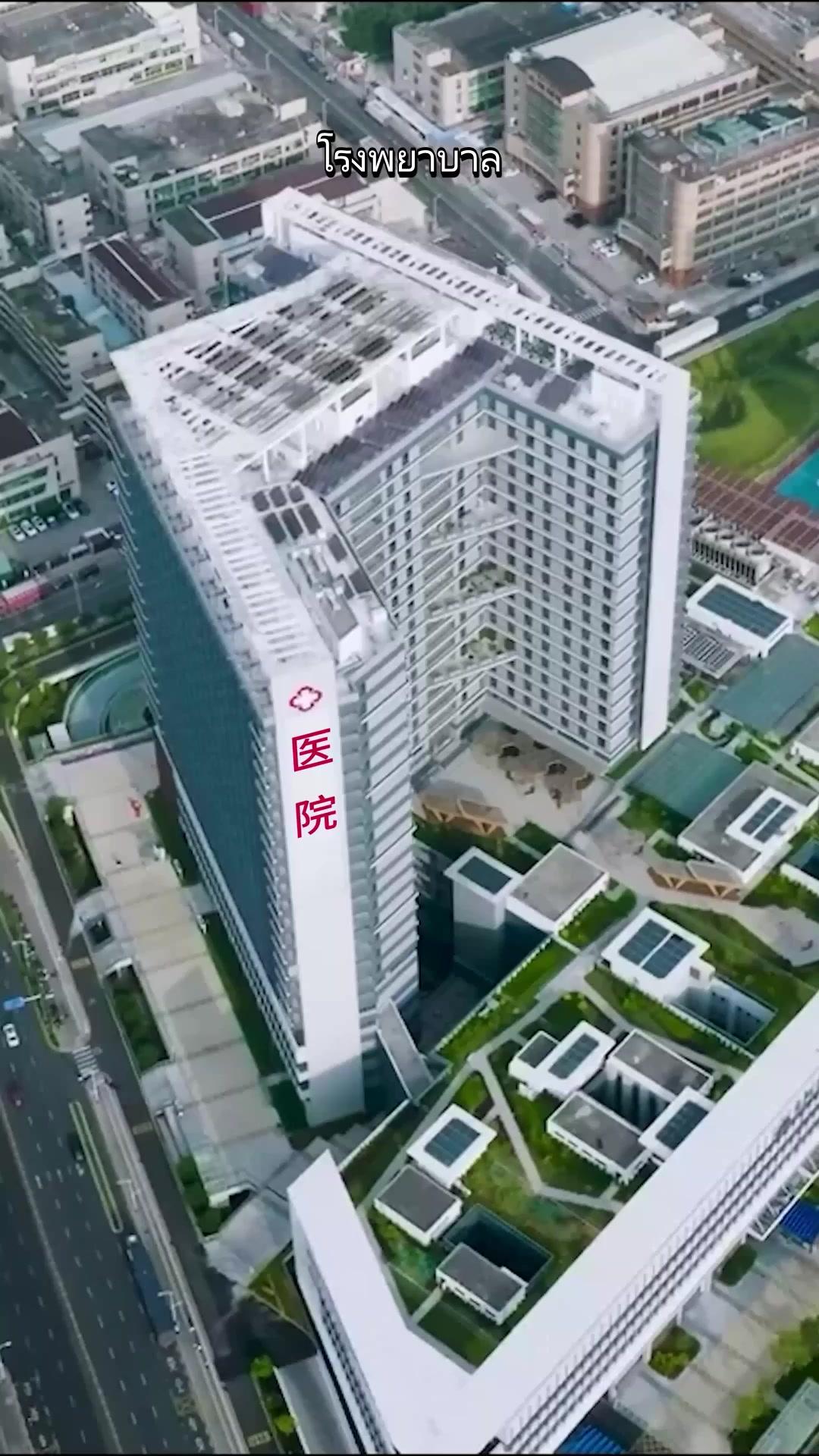 ชาติใหม่ของย่าแก่ชรา