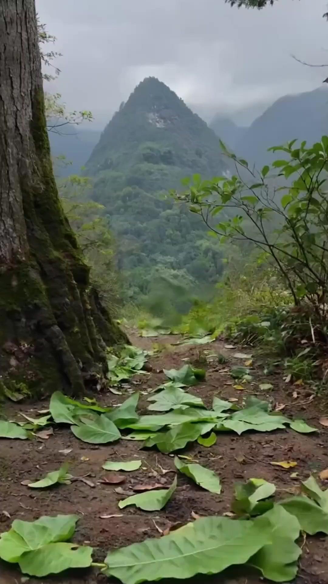 Tras renacer, huí de mi secta
