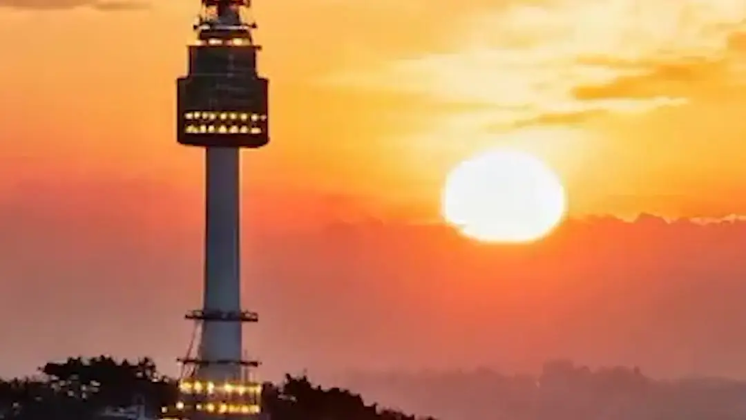 Giấc Mộng Hào Môn: Chiếc Cốc Nước Và Bi kịch Của Người Phục Vụ