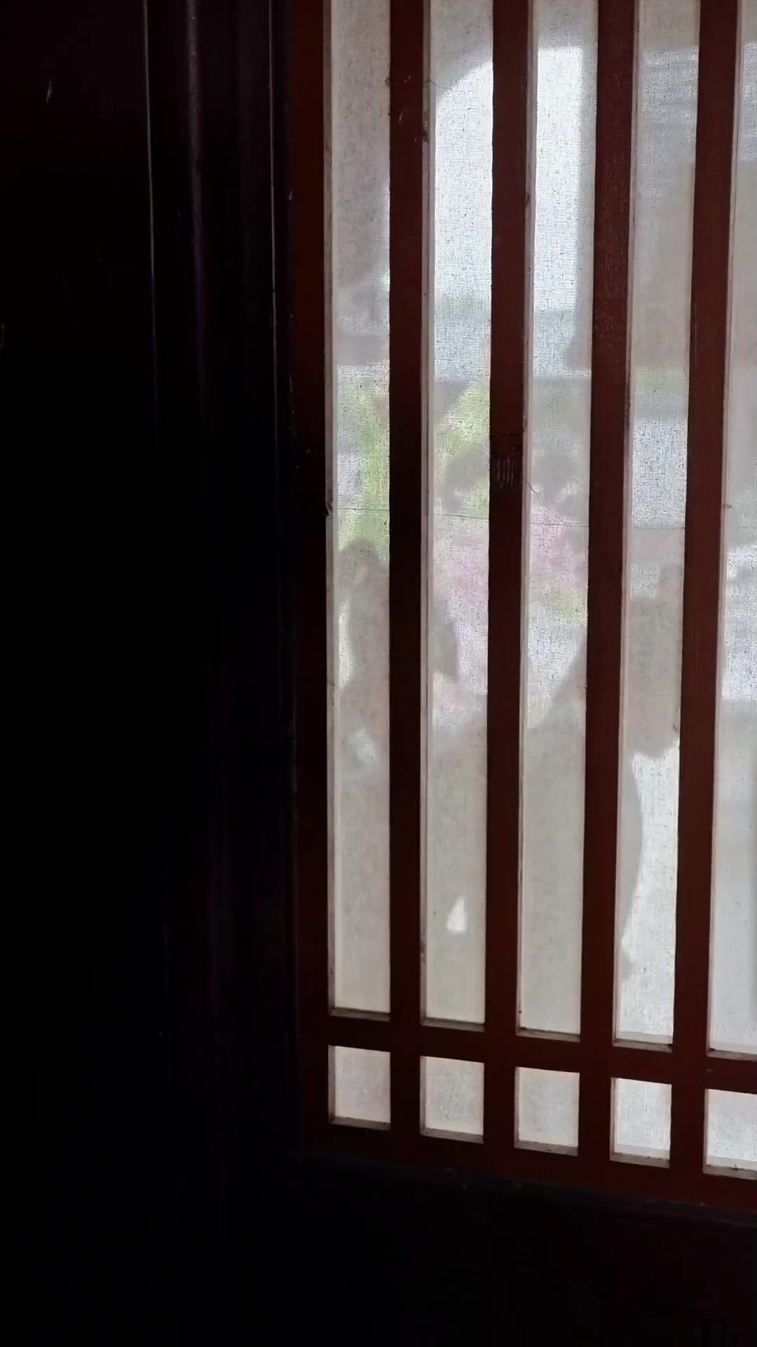 Bir Yalanın Anatomisi